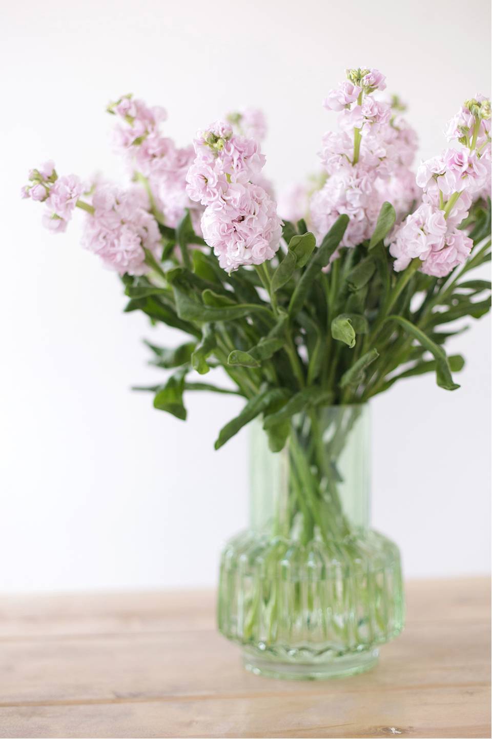 Маттиола - с добавлением зелени