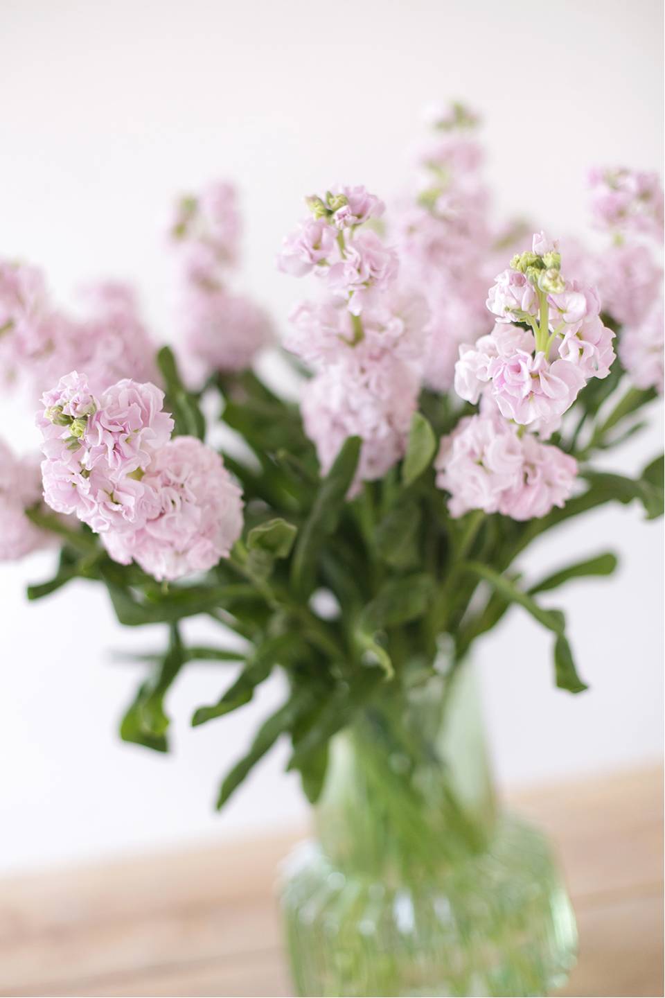 Маттиола - с доставкой по Минску