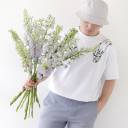 Дельфиниум  (Delphinium) - миниатюра 12