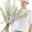 Дельфиниум  (Delphinium) - миниатюра 9