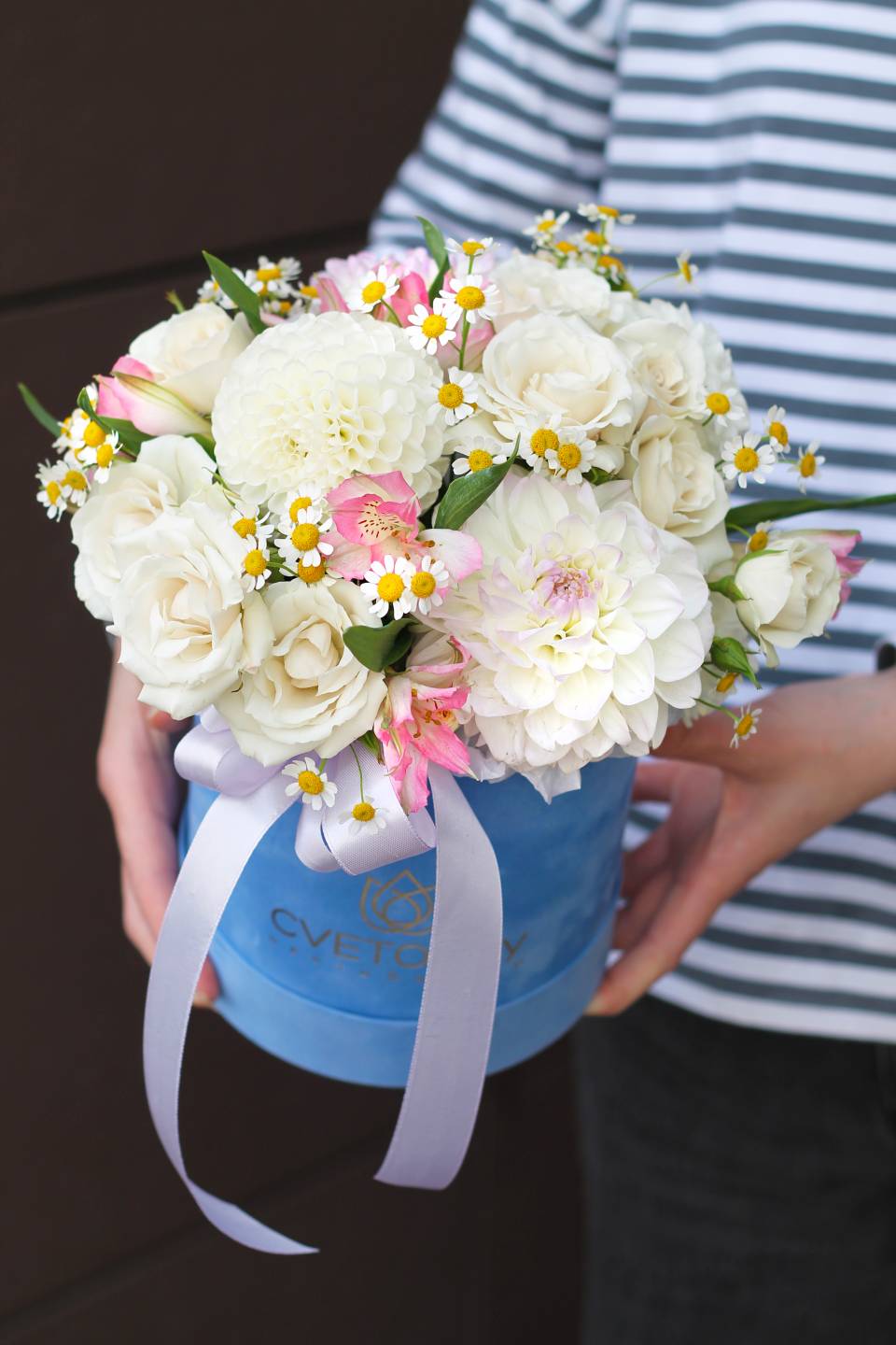 Композиция Регина