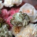 Букет Бенджамин - с добавлением зелени - миниатюра 