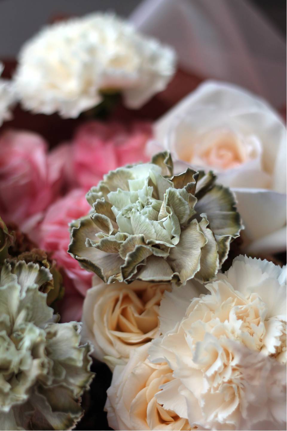 Букет Бенджамин - с добавлением зелени