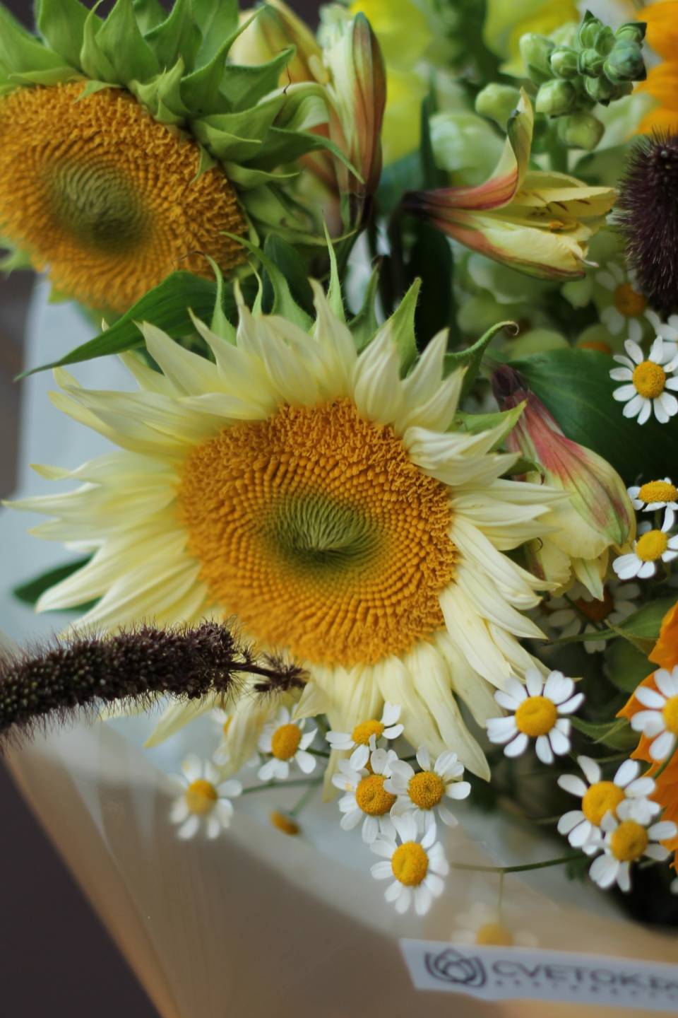 Букет Летний подсолнух