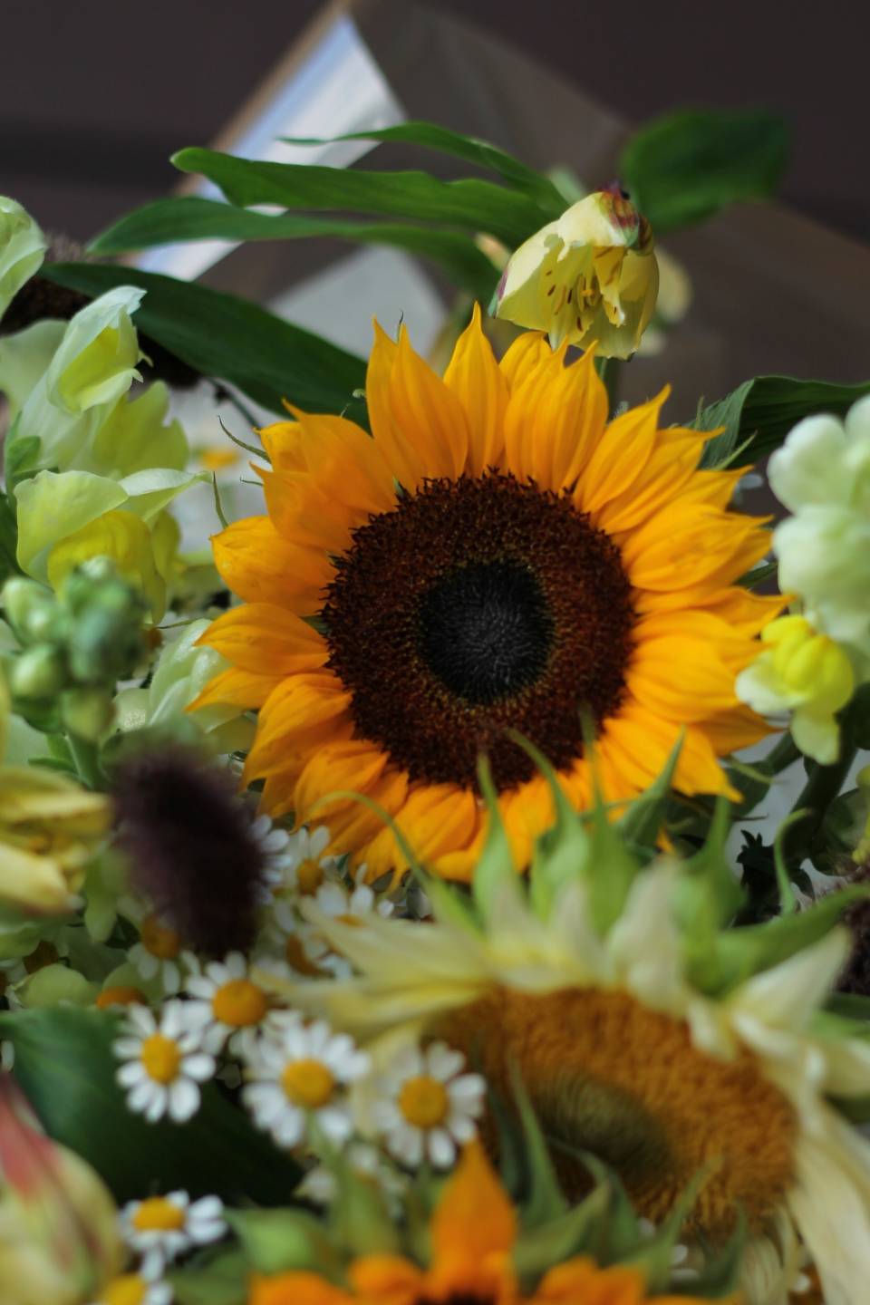 Букет Летний подсолнух - подарочное оформление