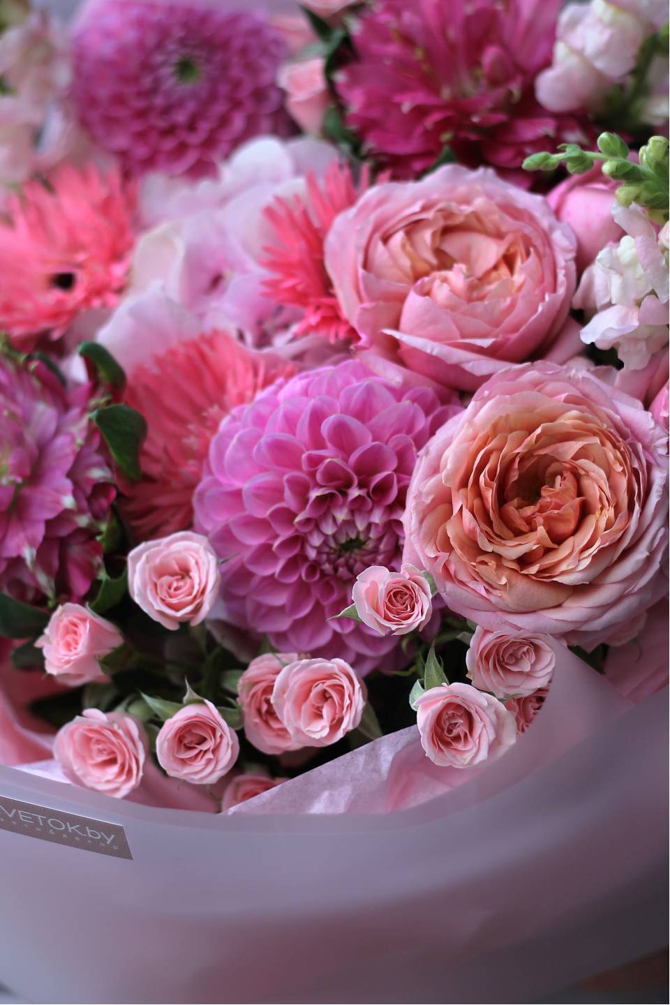 Букет Яркая гербера - с доставкой по Минску