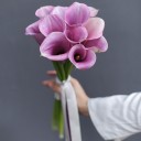 Букет невесты Амели - для женщины/молодой пары - миниатюра