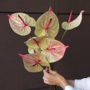 Антуриум - с добавлением зелени - миниатюра 