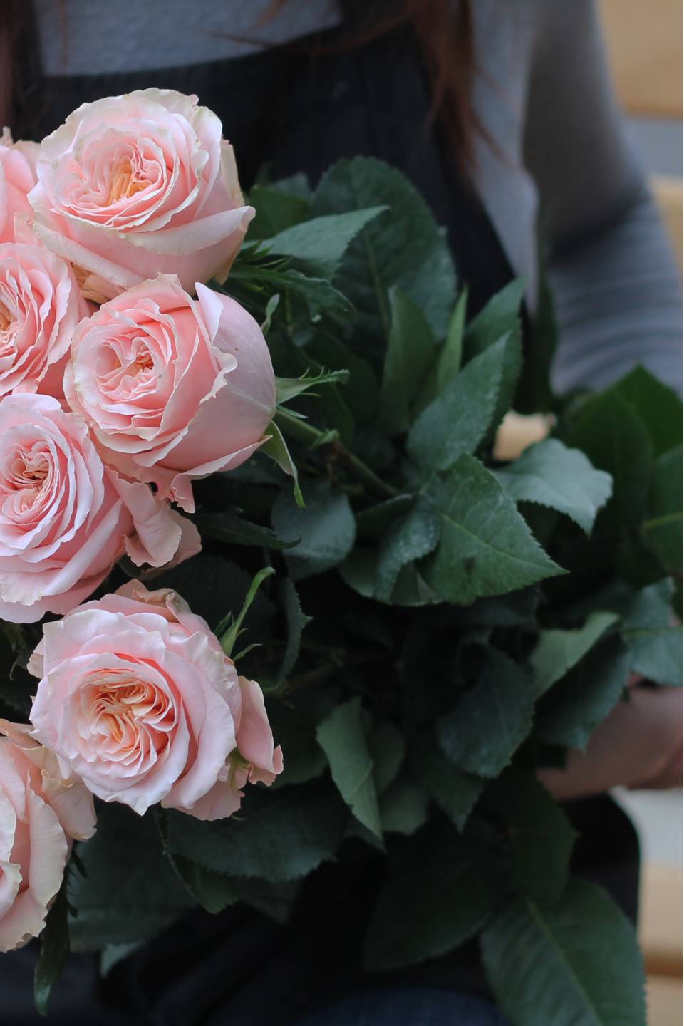 Роза Шиммер (Shimmer) - с доставкой по Минску