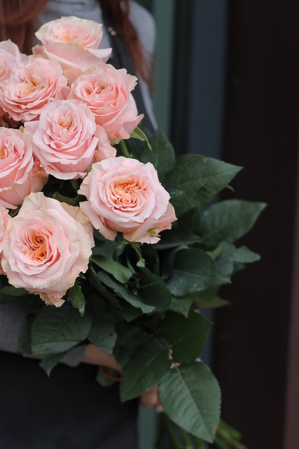 Роза Шиммер (Shimmer) - с добавлением зелени