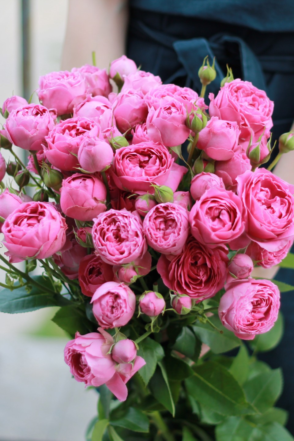 Кустовые розы Misty Bubbles