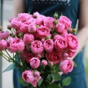 Кустовые розы Misty Bubbles - с доставкой по Минску - миниатюра