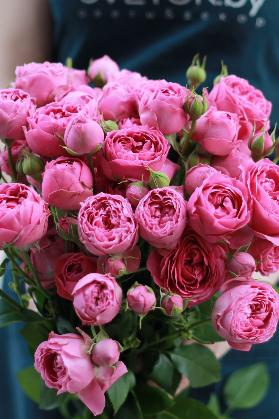 Кустовые розы Misty Bubbles - с доставкой по Минску