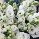 Белая эустома - с доставкой по Минску - миниатюра