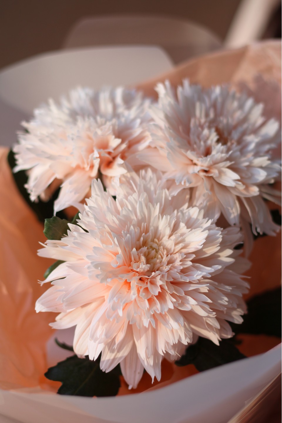 Букет из хризантем Танец Фламинго - с доставкой по Минску