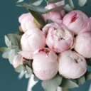 Букет невесты из пионов Воздушный поцелуй - с доставкой по Минску - миниатюра