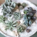 Композиция Экзотический сад в керамике - миниатюра