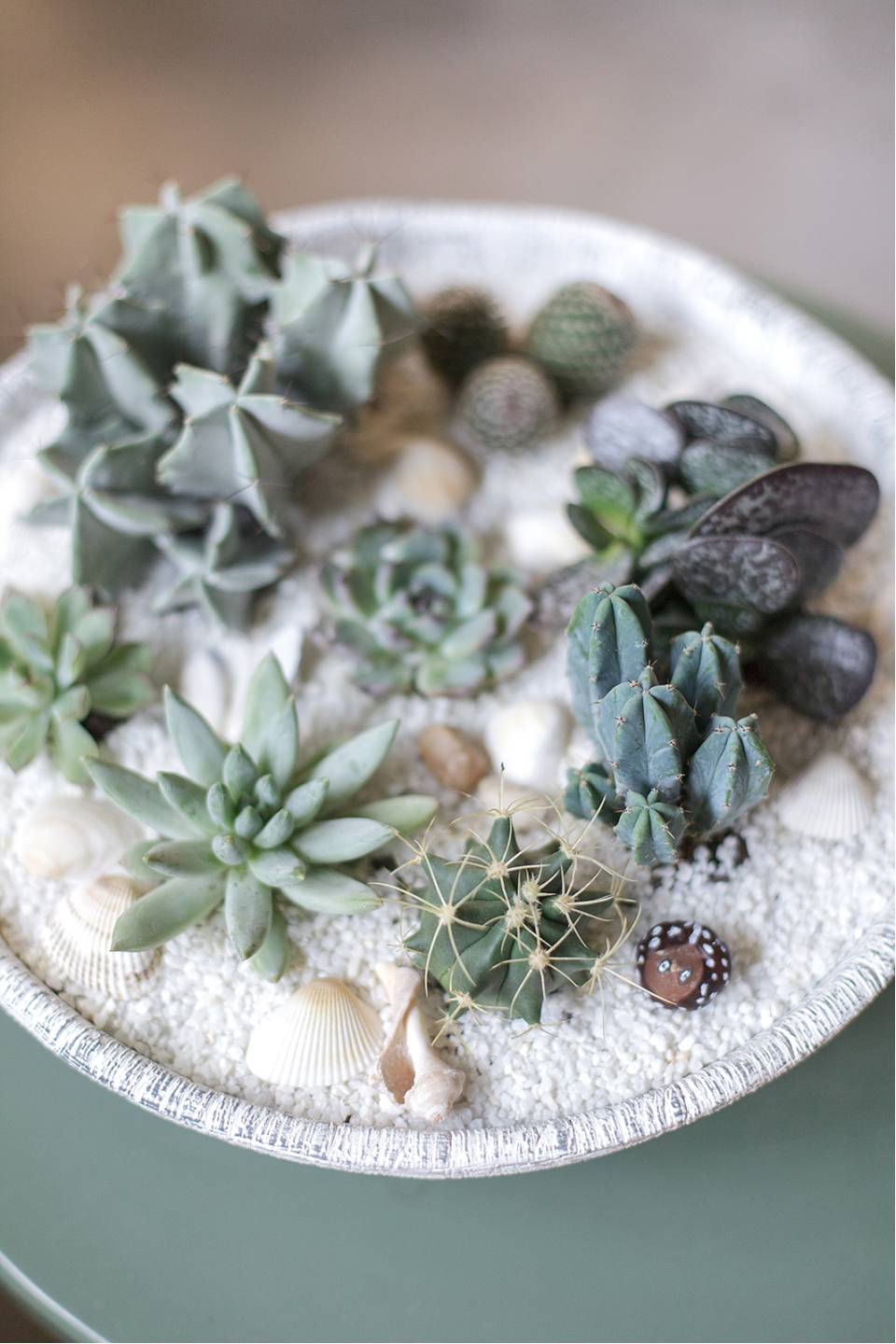 Композиция Экзотический сад в керамике