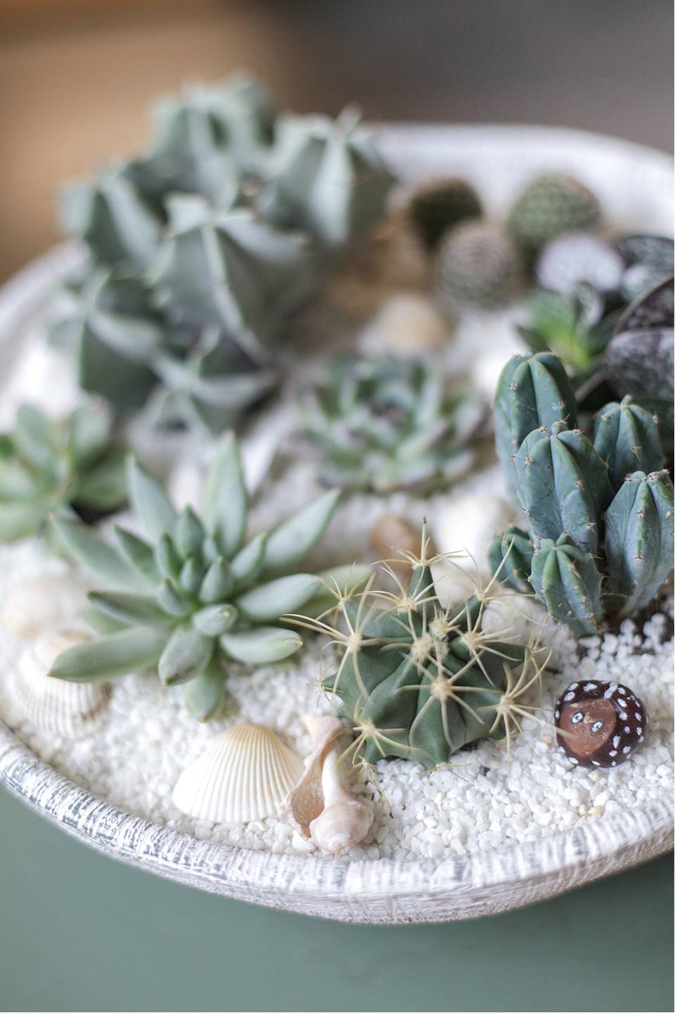 Композиция Экзотический сад в керамике - подарочное оформление