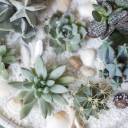 Композиция Экзотический сад в керамике - быстрая доставка в Минске - миниатюра