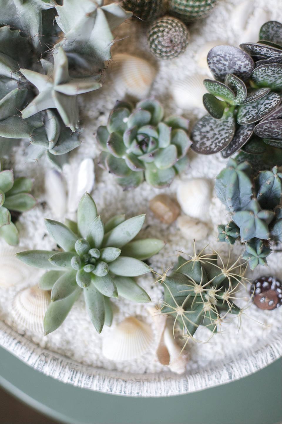 Композиция Экзотический сад в керамике - быстрая доставка в Минске