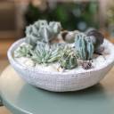 Композиция Экзотический сад в керамике - с добавлением зелени - миниатюра 