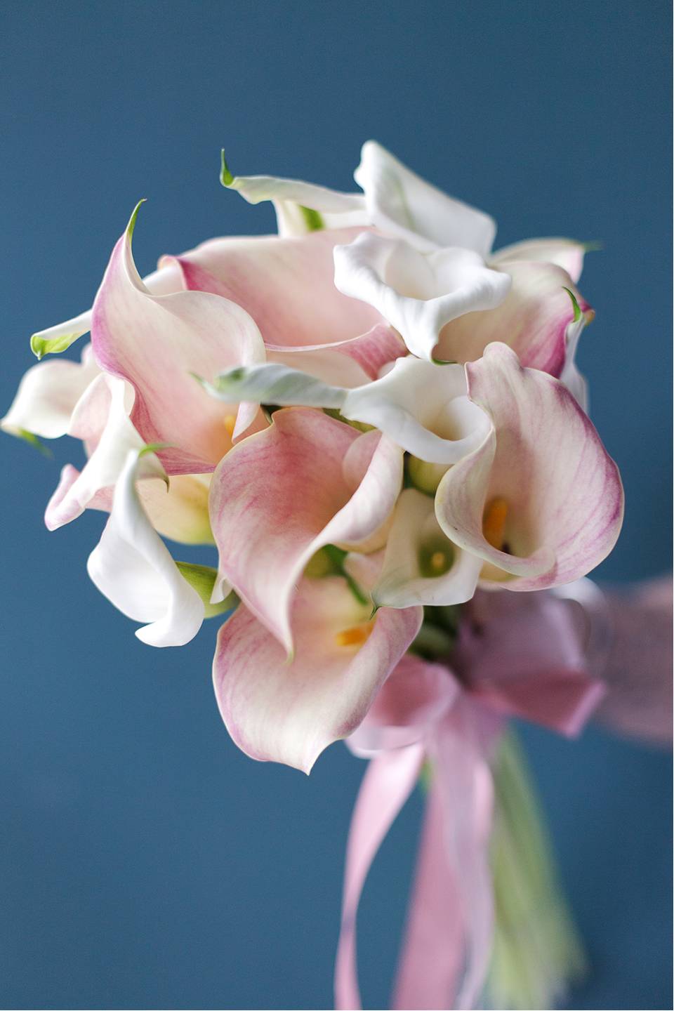 Букет невесты из калл Нежный перламутр - с доставкой по Минску