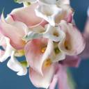 Букет невесты из калл Нежный перламутр - с добавлением зелени - миниатюра 