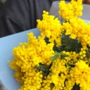 Букет Яркая Весна - с доставкой по Минску - миниатюра