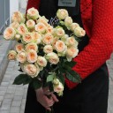 Роза кустовая Pavlova - миниатюра