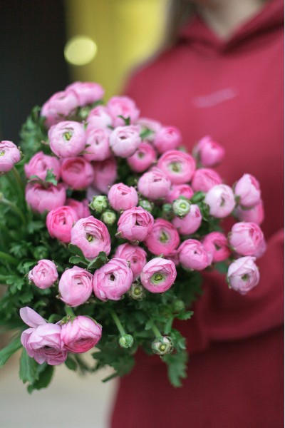 Ранункулюс Клуни