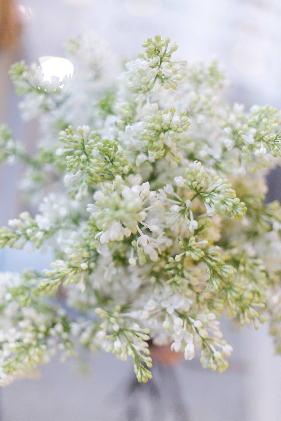 Сирень белая - для женщины/молодой пары