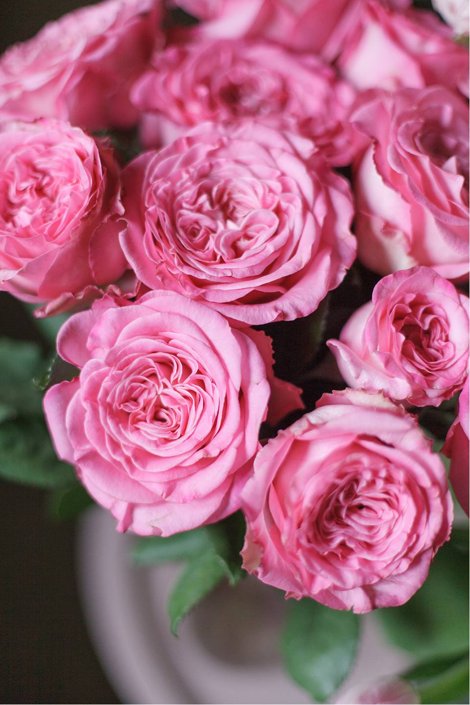 Роза кустовая Artaziya (Артезия) - с добавлением зелени