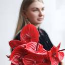 Антуриум красный - с добавлением зелени - миниатюра 