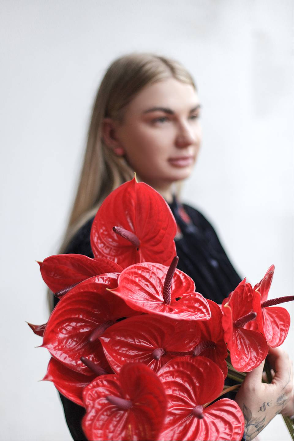 Антуриум красный - с добавлением зелени