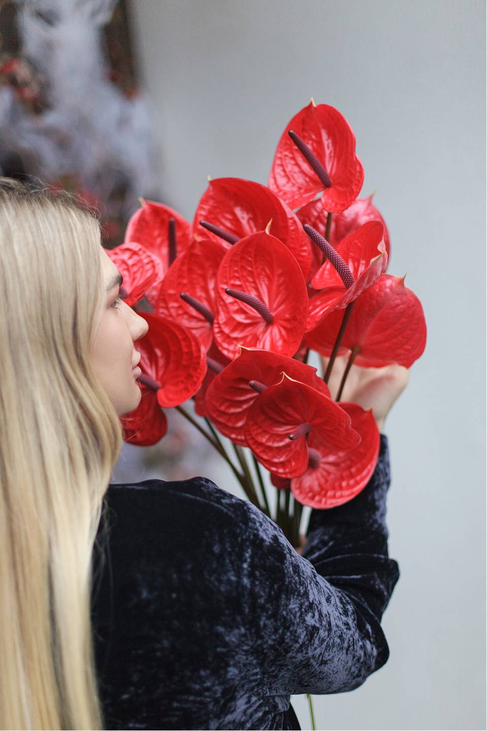 Антуриум красный - с доставкой по Минску