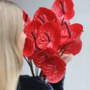 Антуриум красный - миниатюра