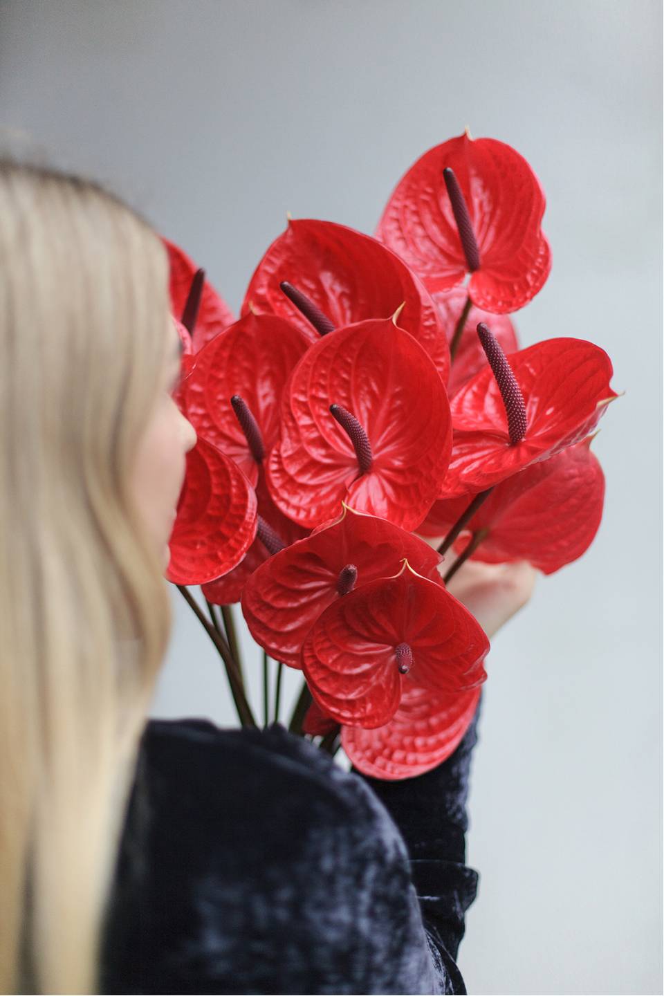 Антуриум красный