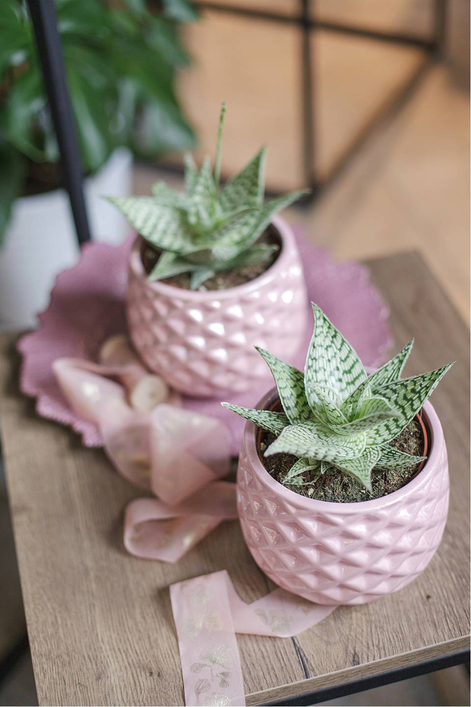 Алоэ Раухи Деми 15-12 - с доставкой по Минску