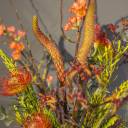 Композиция Акант - с доставкой по Минску - миниатюра