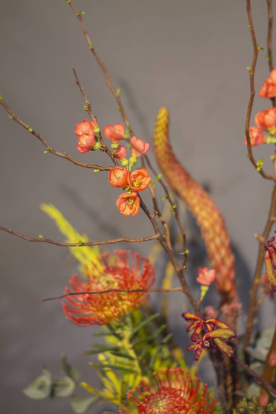 Композиция Акант - быстрая доставка в Минске