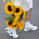 Подсолнух - миниатюра 8