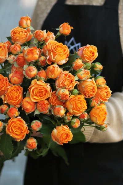 Роза кустовая Coral Bubbles (Корал Баблс)
