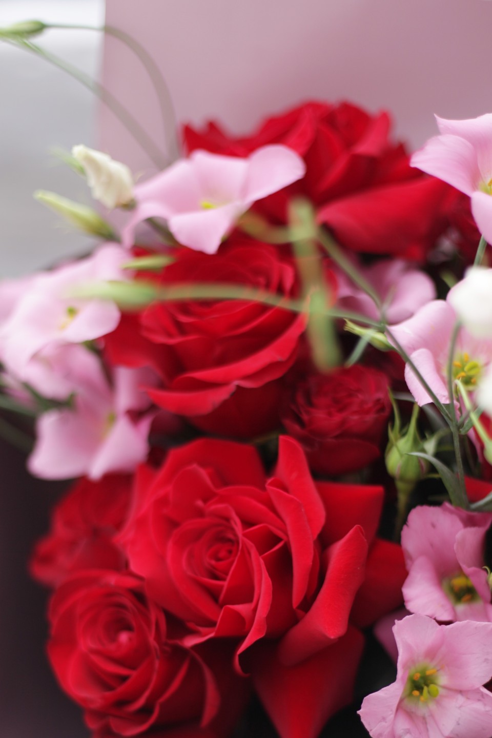 Букет Sensual Red - с добавлением зелени