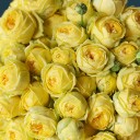 Роза Каталина (Catalina) - подарочное оформление - миниатюра