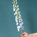 Дельфиниум  (Delphinium) - с добавлением зелени - миниатюра 