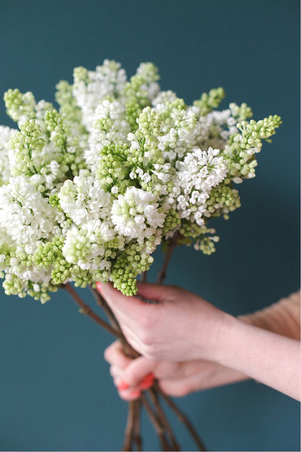 Сирень белая - подарочное оформление