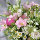 Коробочка Мьюни - с доставкой по Минску - миниатюра