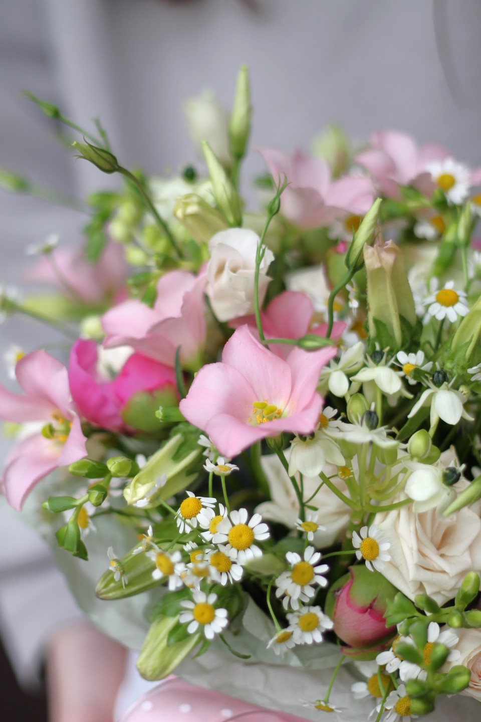 Коробочка Мьюни - с доставкой по Минску