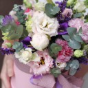 Коробочка Хелия - миниатюра